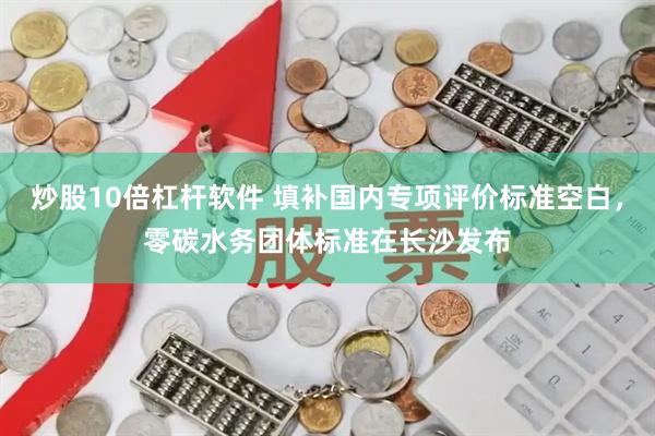 炒股10倍杠杆软件 填补国内专项评价标准空白，零碳水务团体标准在长沙发布